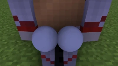 Reposted Minecraft Inflation Videos