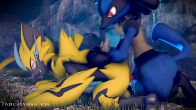 Lucario x Zeraora