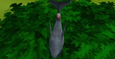 the dolphin's kink