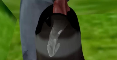 the dolphin's dick sucked
