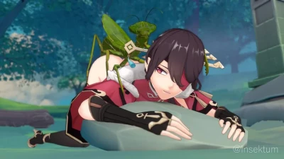 Beidou s Fun in the Forest