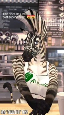 Zahira at your service