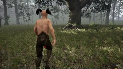 Wandering in the Forest