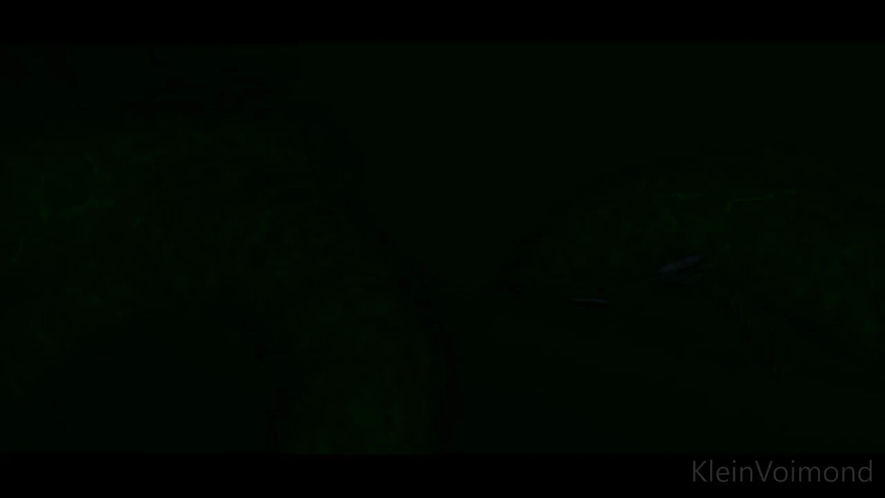 Tentacle x Elf - 3D Free Porn | 100% Ad-Free | xporn3d.com