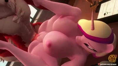 Princess Cadance s duties