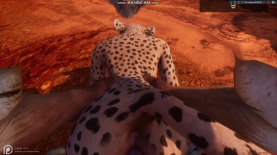 Furry sex with the Kerpali tigers - Wild Life Game