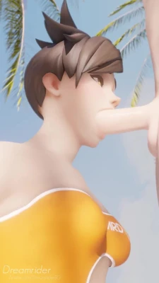 Tracer lifeguard beach succ