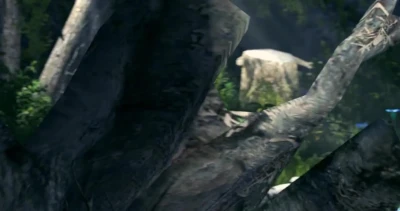 Personal work part 2 Nice pleasure in forest 4k