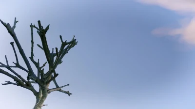 Nova Somnia, Chapter 1