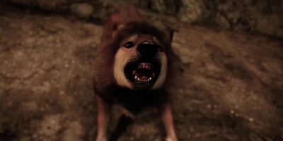 Aela The Wolf Queen (3DErotica)