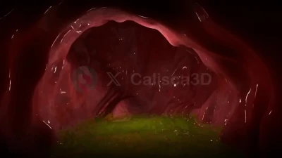 Calisca3D - Sinia s Fleshy Cavern