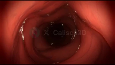 Calisca3D - Down Sinia s Throat