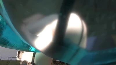 Tentacle cycles test