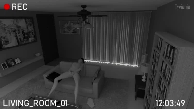 Surveillance